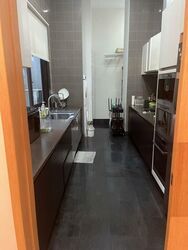 Belle Vue Residences (D9), Condominium #458149181